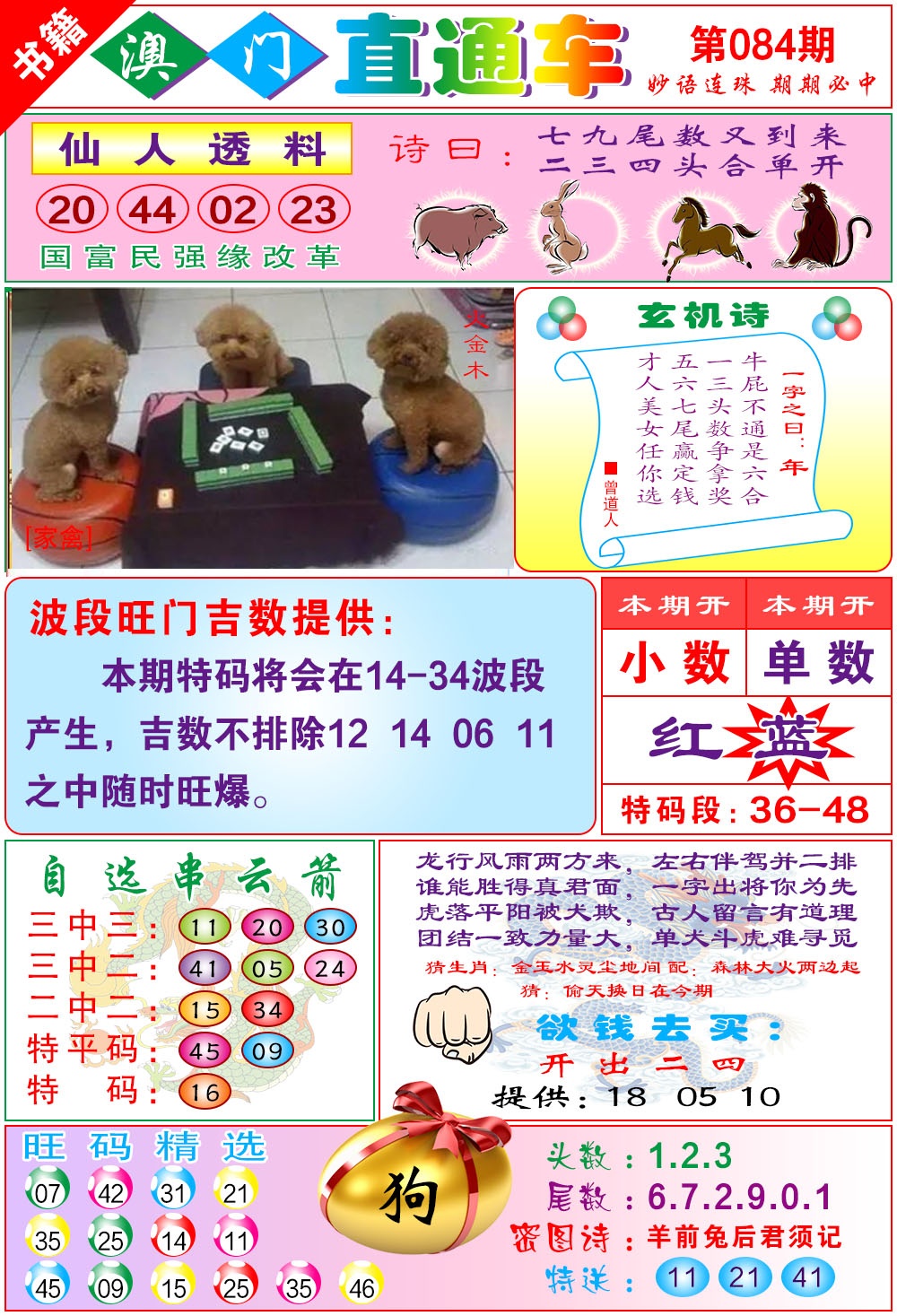 084期白姐直通车[图]