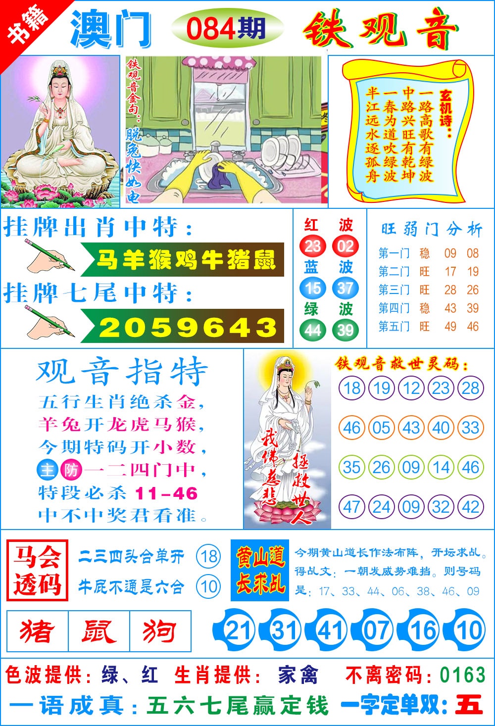 084期澳门铁观音[图]